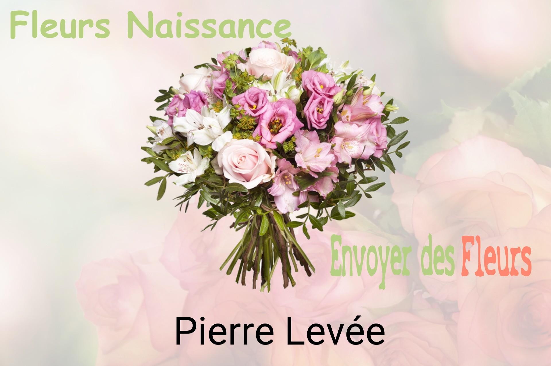 Bouquet de fleurs de naissance livré à Pierre-Levée